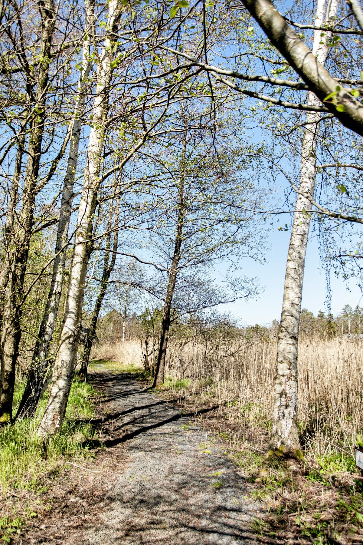 Velkommen på visning! Galleribilde