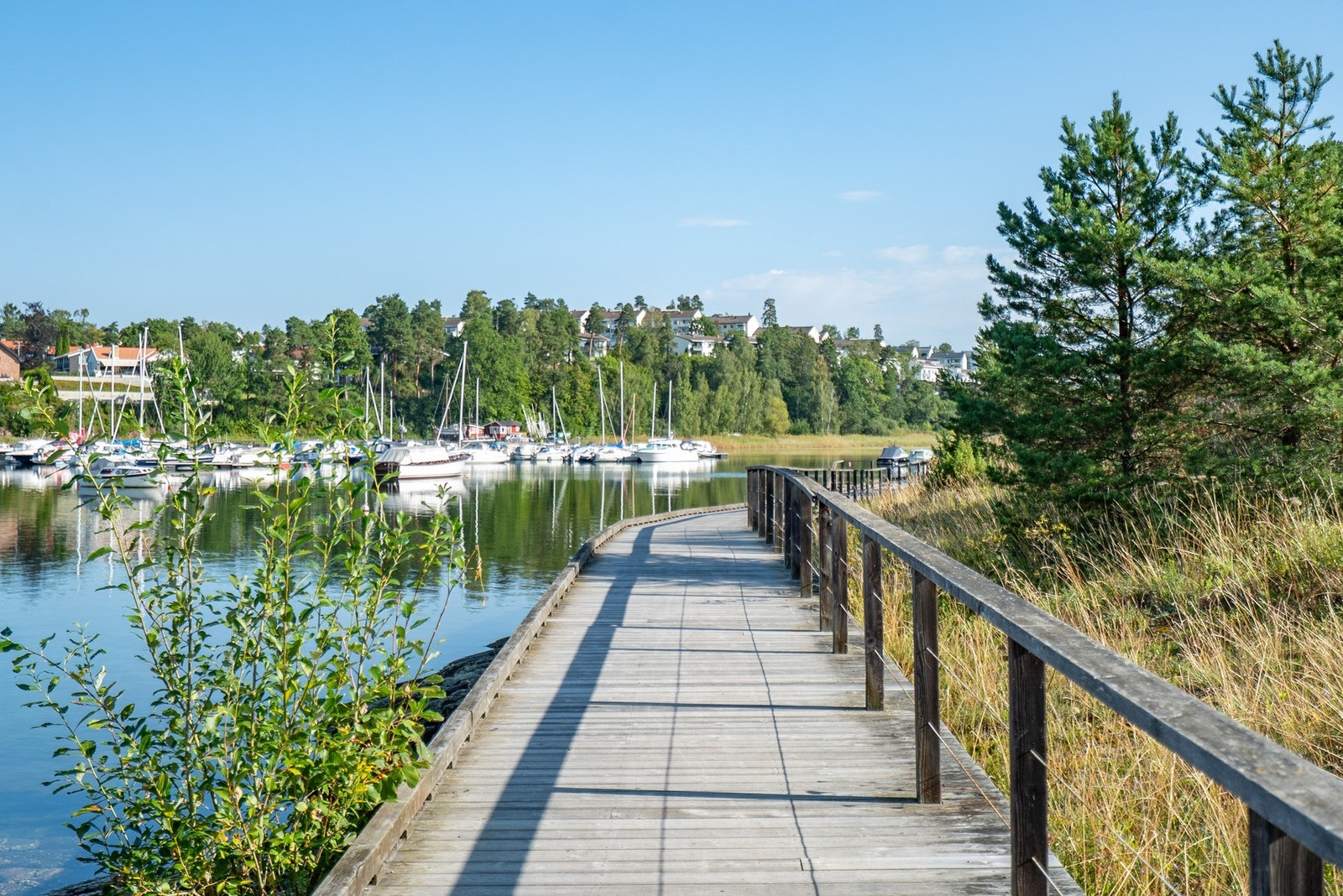 Kyststien mot Holtekilen. Galleribilde