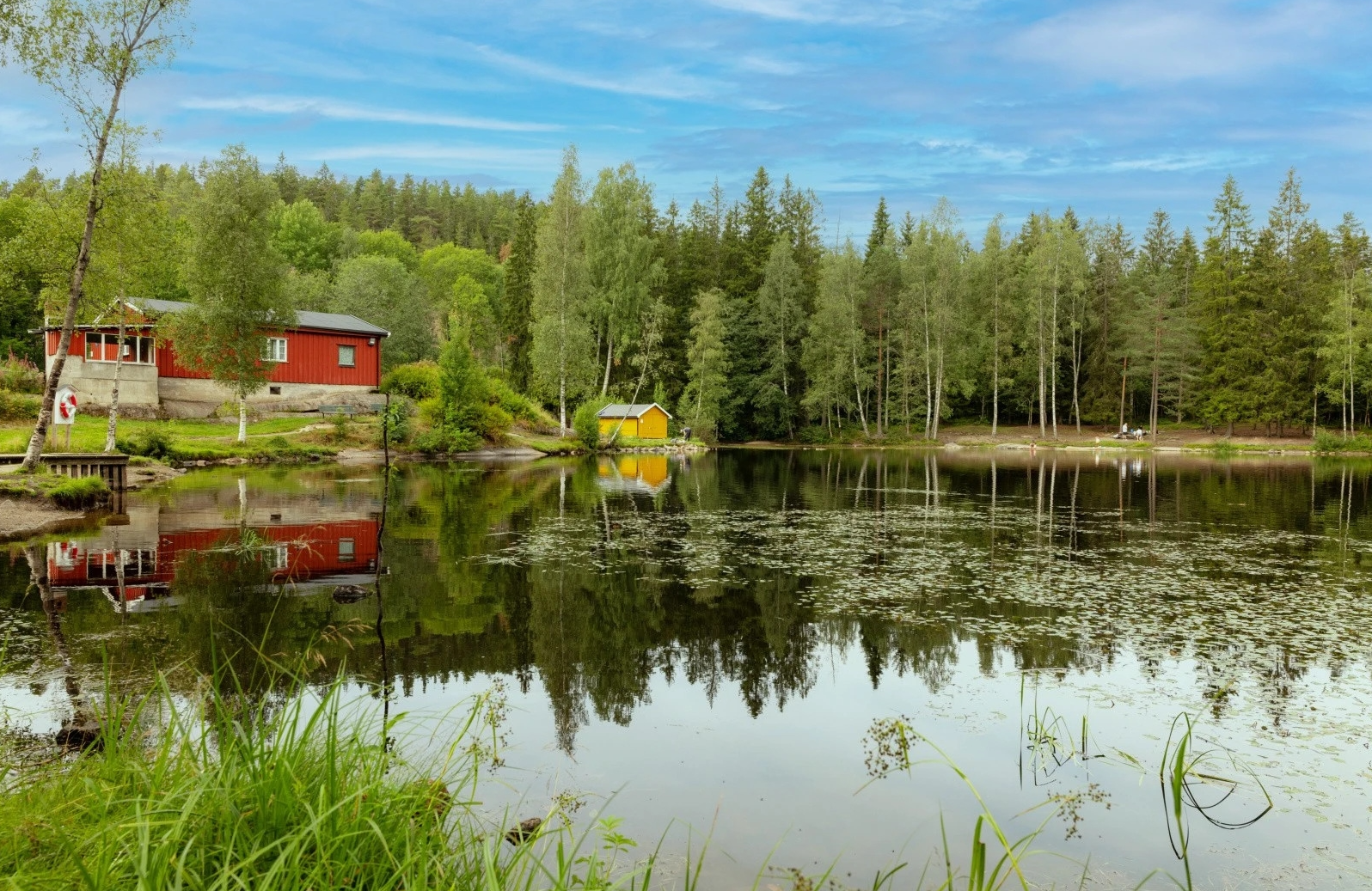 Idylliske Isdammen på toppen av Årvoll er et populært samlested for store og små både sommer og vinter. Galleribilde