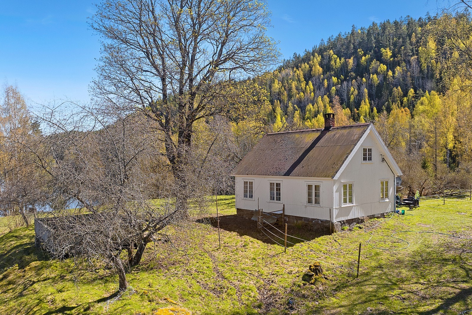 Hovedhuset er omgitt av en naturtomt med vegetasjon og utsyn til nærliggende skogsområder. Galleribilde