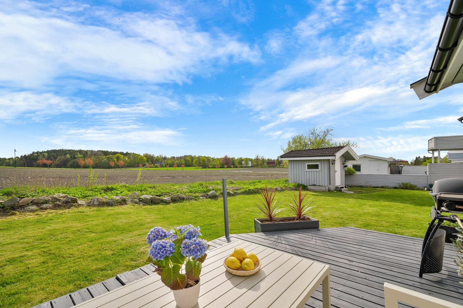 Plattingen er stor med gode solforhold. Galleribilde
