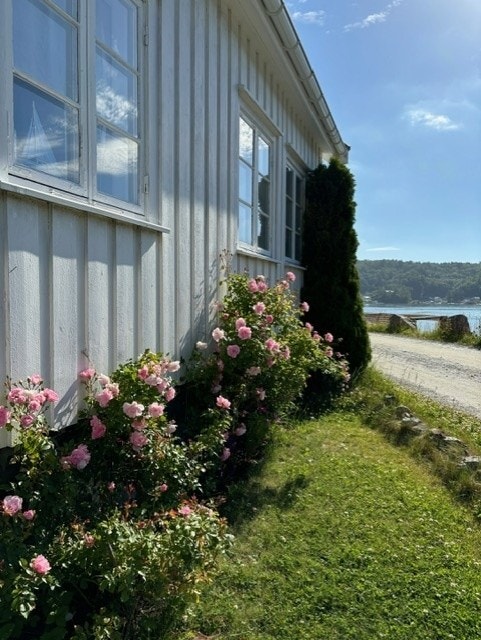 Privat bilde tatt av selger Galleribilde