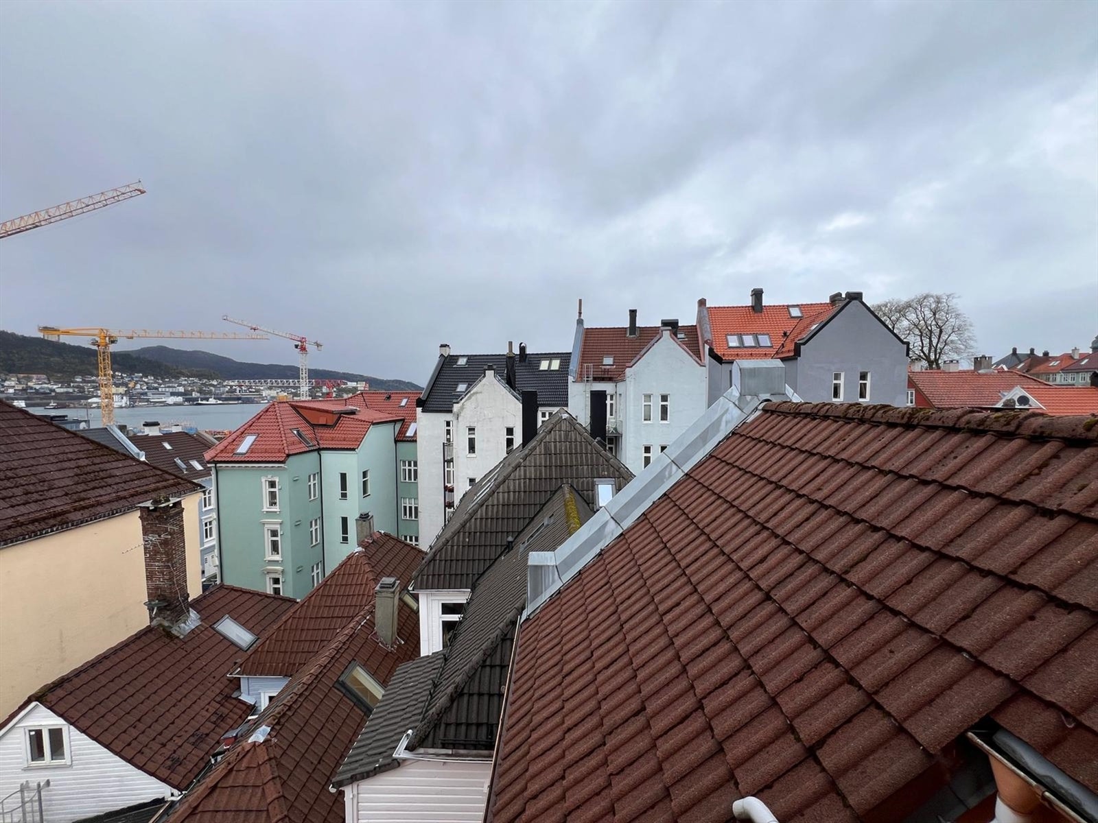Utsikt fra loftsvindu Galleribilde