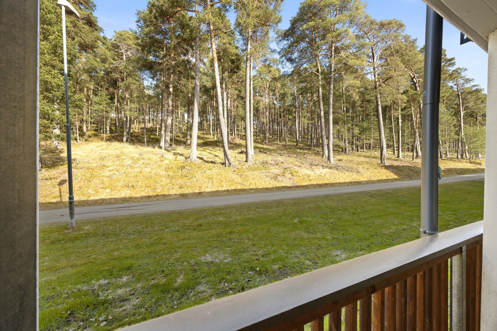 Utsikt mot furuskogen fra inngangspartiet. Galleribilde