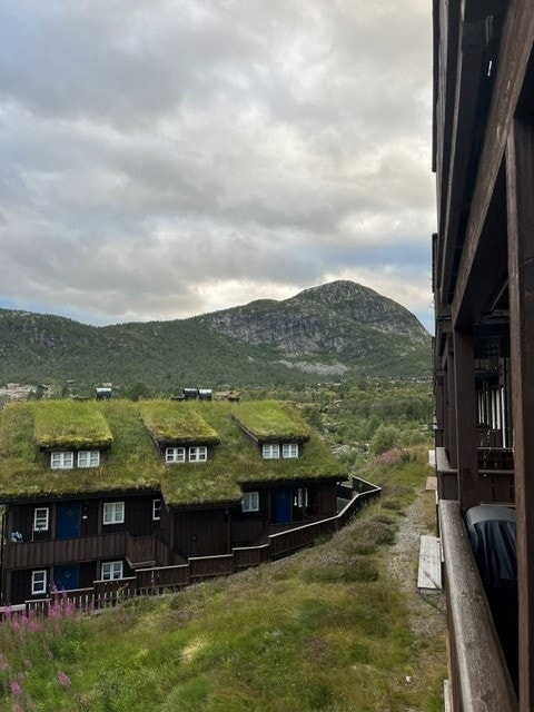 Bilder fra selger Galleribilde