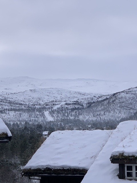Bilder fra selger Galleribilde
