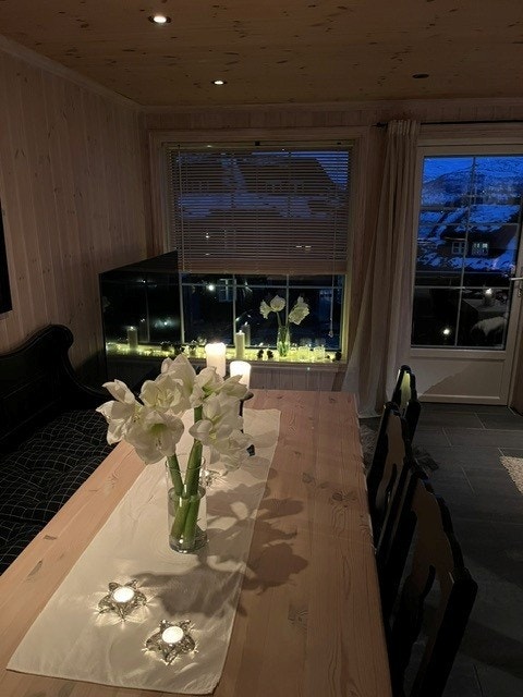 Bilder fra selger Galleribilde