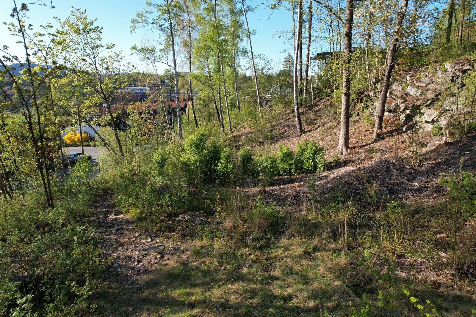 Skrånende tomt med flate nivåer Galleribilde