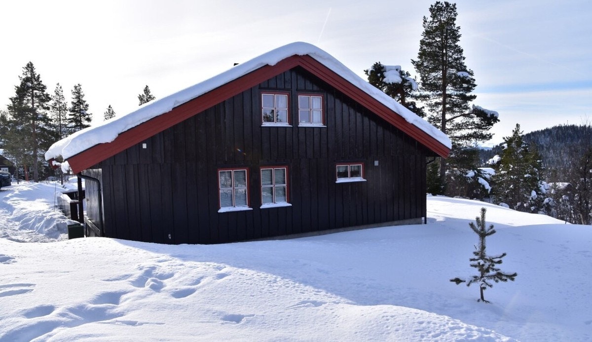 Vinterbilde Galleribilde