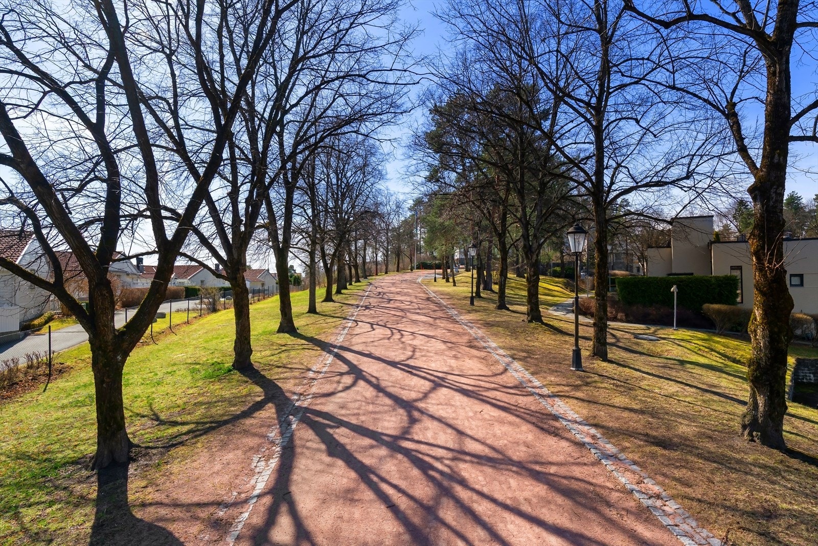 Rett bak eiendommen ligger en fantastisk allé opp til Villa Grande. Galleribilde