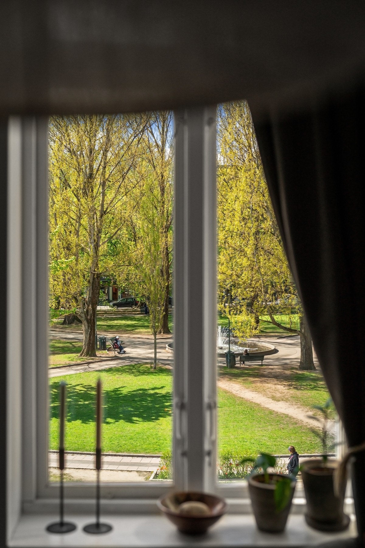 Nydelig parkutsikt fra stuevinduene. Galleribilde