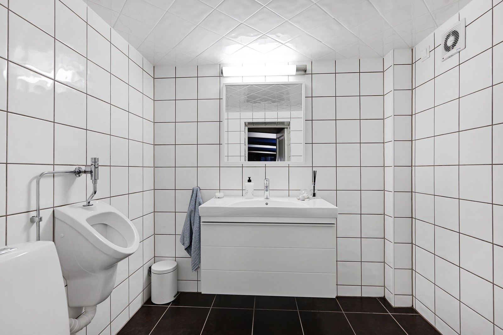 Toalettrom i kjelleren, utstyrt med toalett, urinal og servant. (Ikke godkjent til varig opphold) Galleribilde