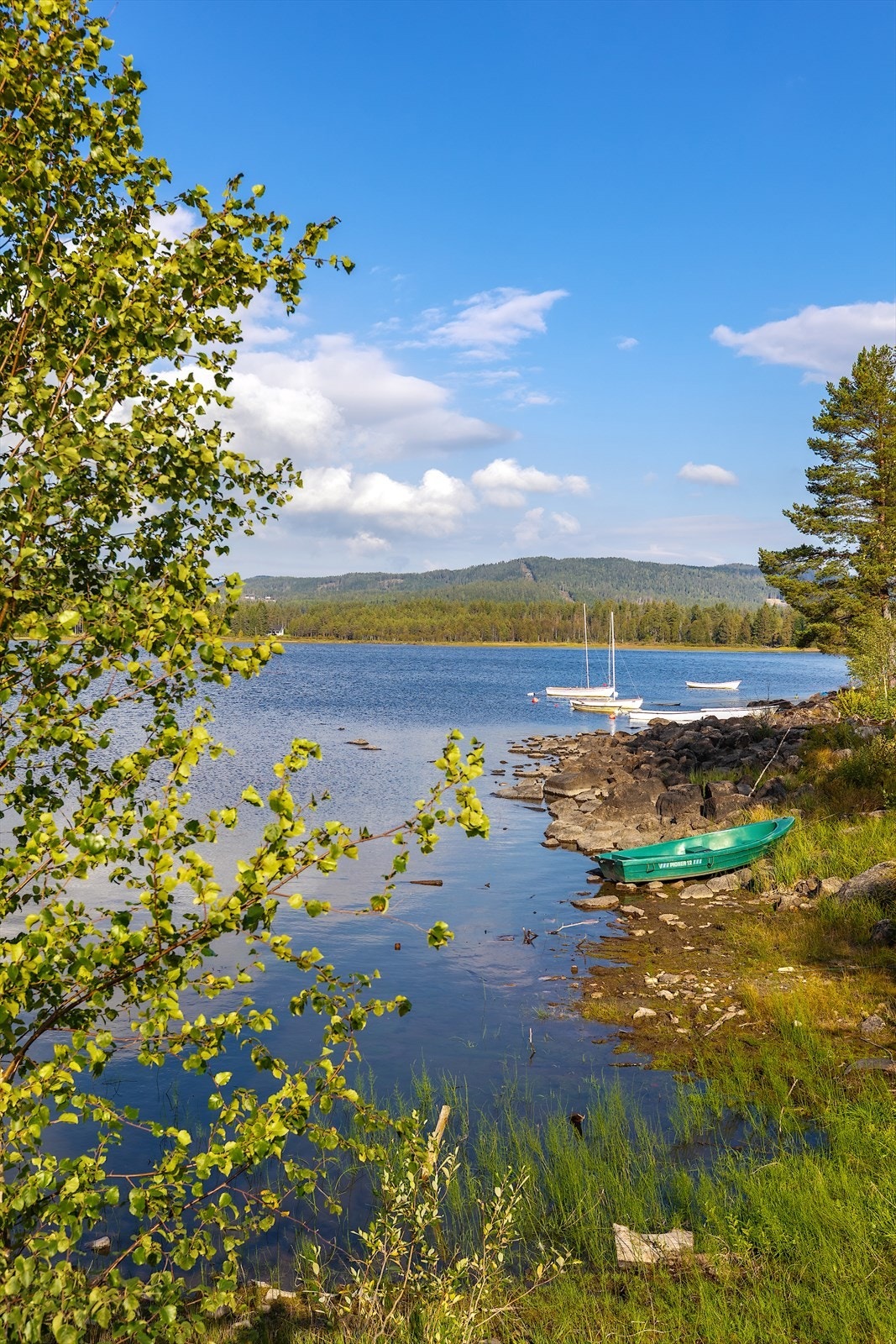 Harestua båt Galleribilde