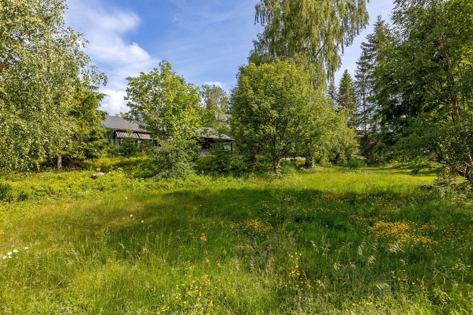 Store deler av tomten er naturtomtearealer og ligger vest for boligen. Galleribilde