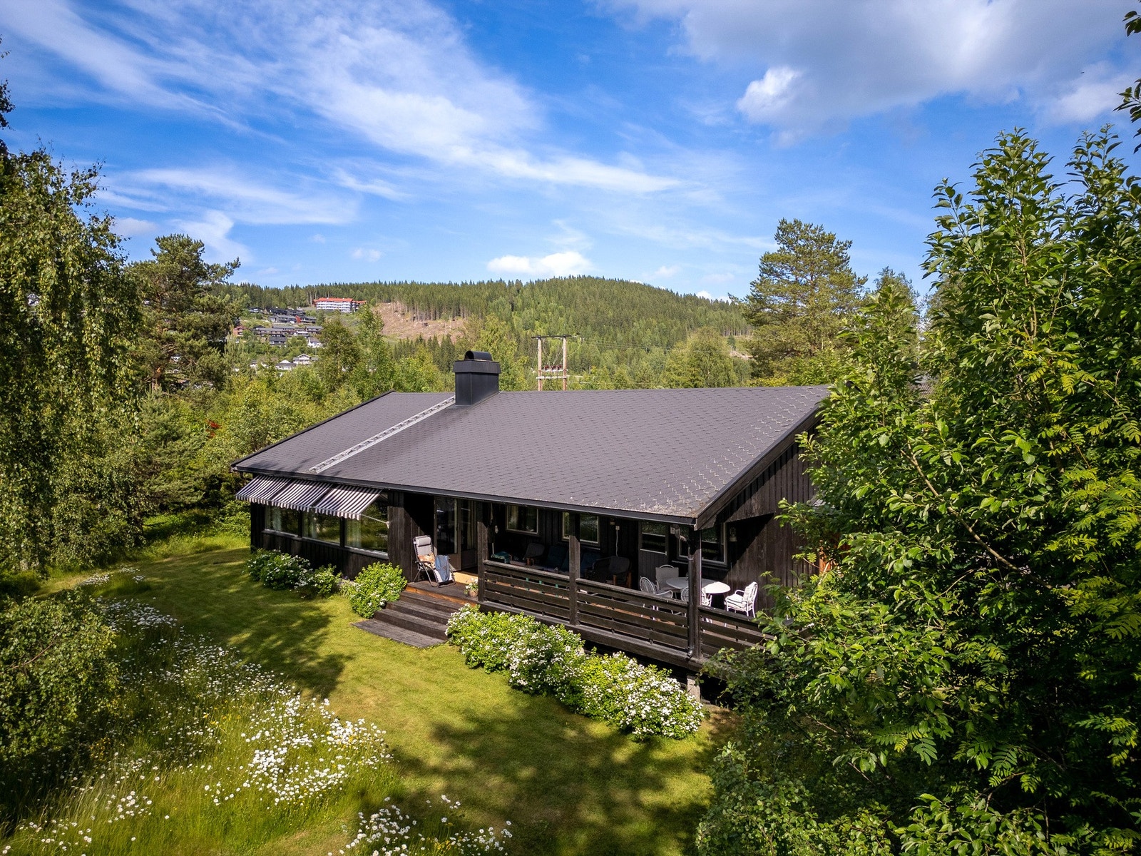 Stor og solrik tomt med plen og frodig beplantning. Galleribilde