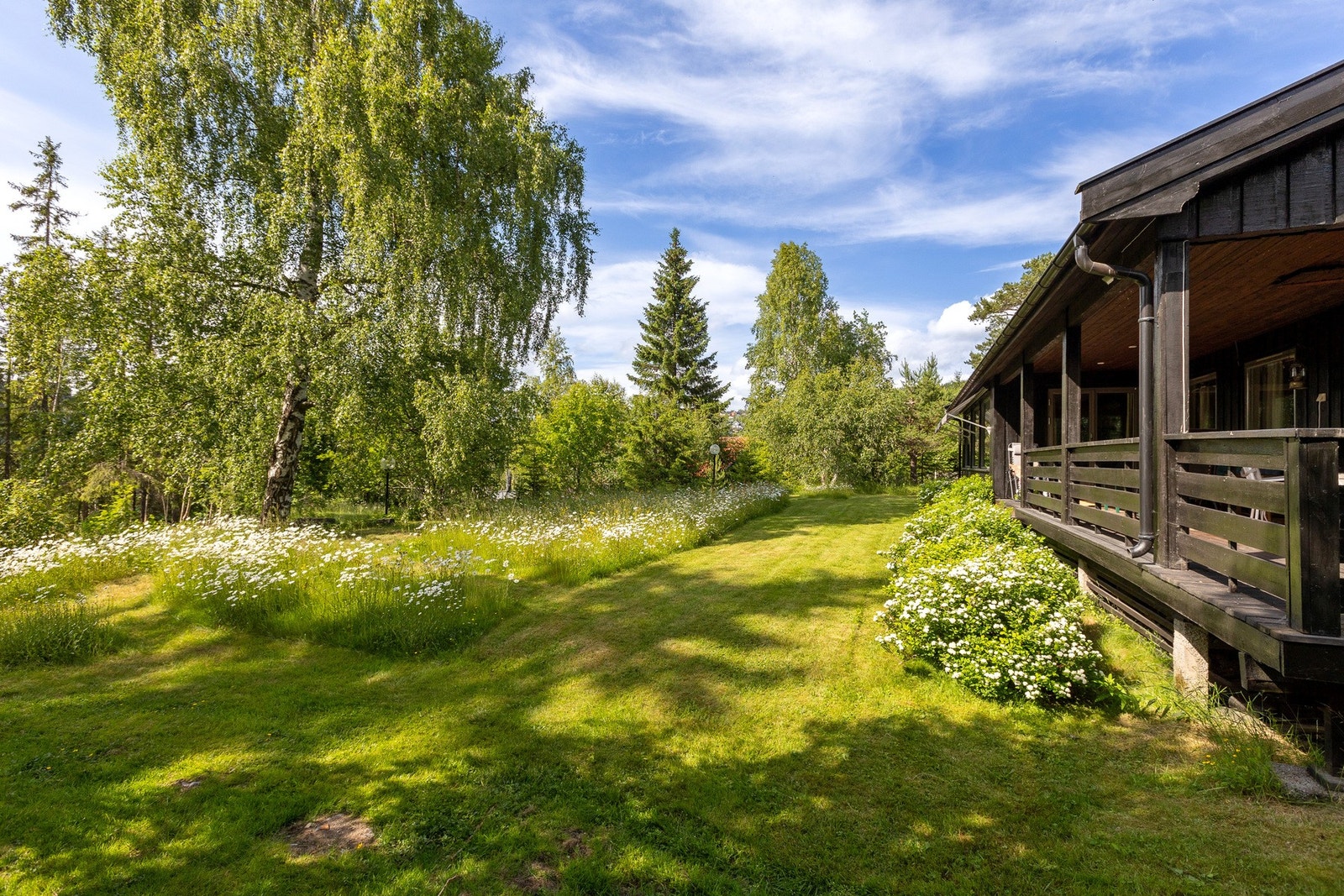 Solrik og frodig hage med plen og naturlig vegetasjon. Galleribilde