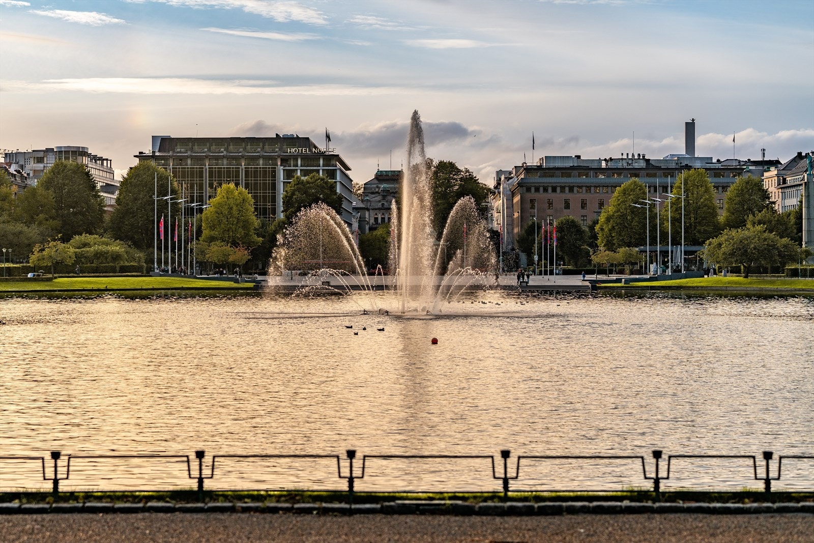 - Sentral idyll ved Lille Lungegårdsvannet - Galleribilde