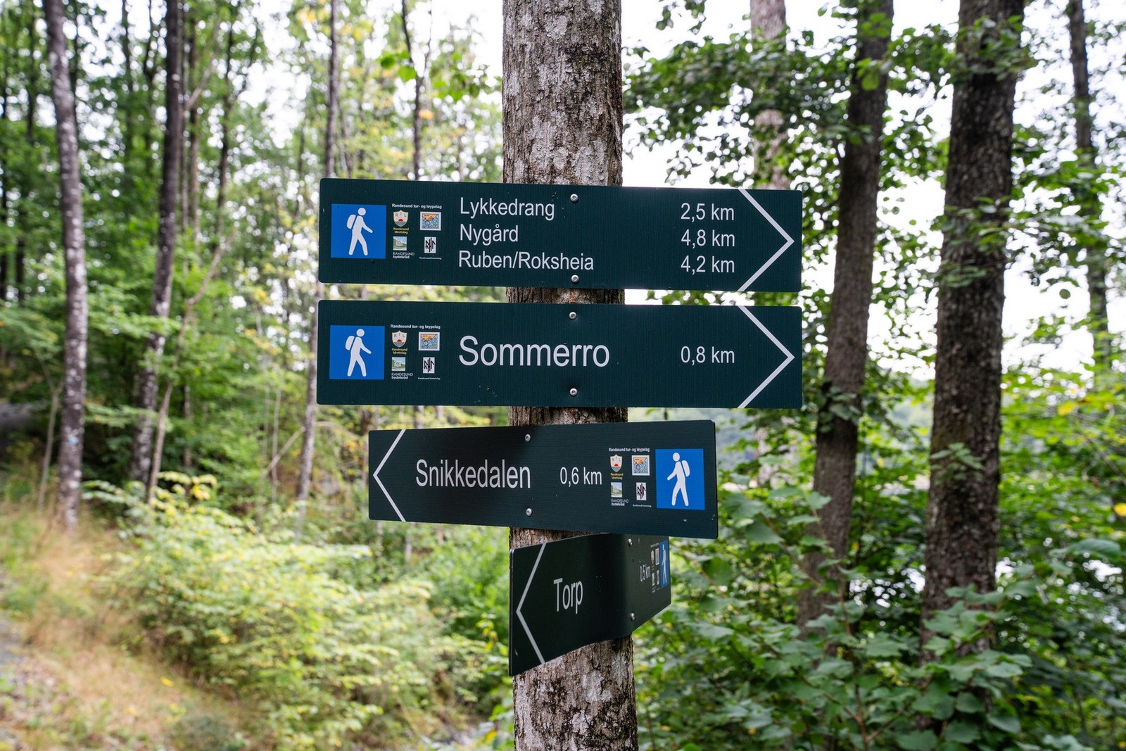 Nydelige turområder like ved Galleribilde