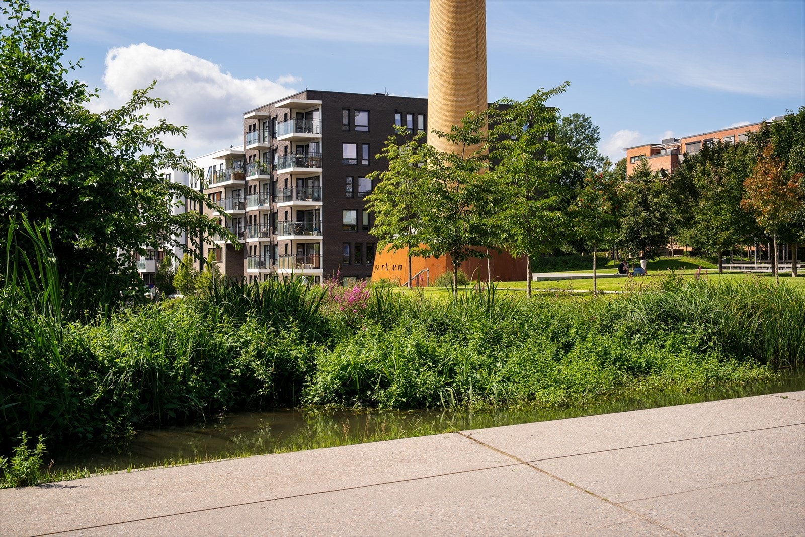 Tiedemannsparken er et flott rekreasjonsområde, i umiddelbar nærhet til leiligheten Galleribilde