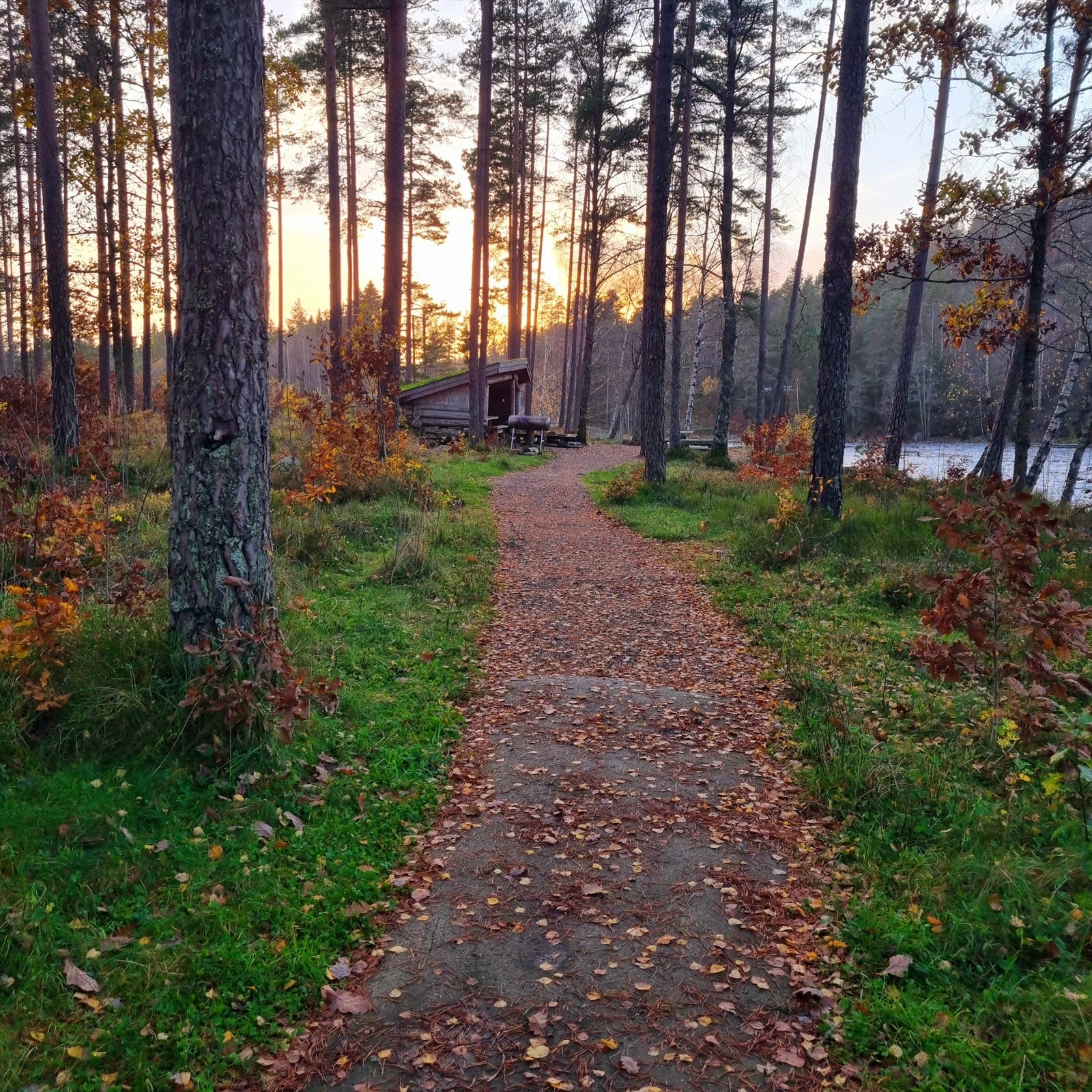 Flotte turområder langs elva Galleribilde
