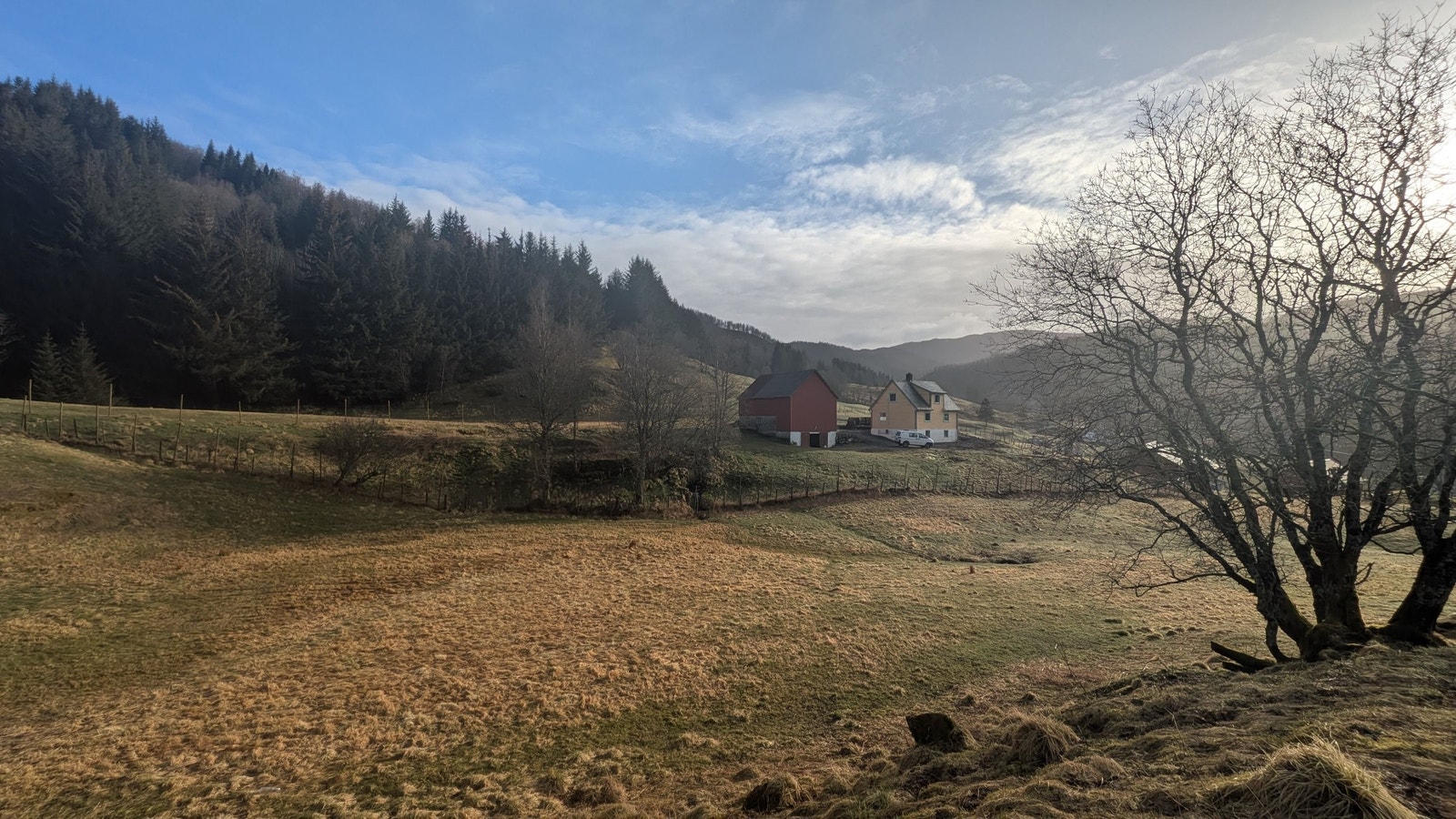 Høstmagi Galleribilde