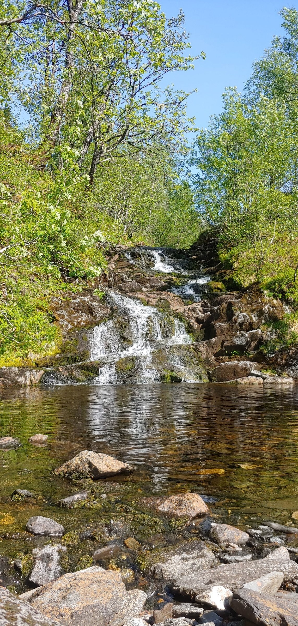 Badekulpen 1,2 km opp en skogsvei. Galleribilde