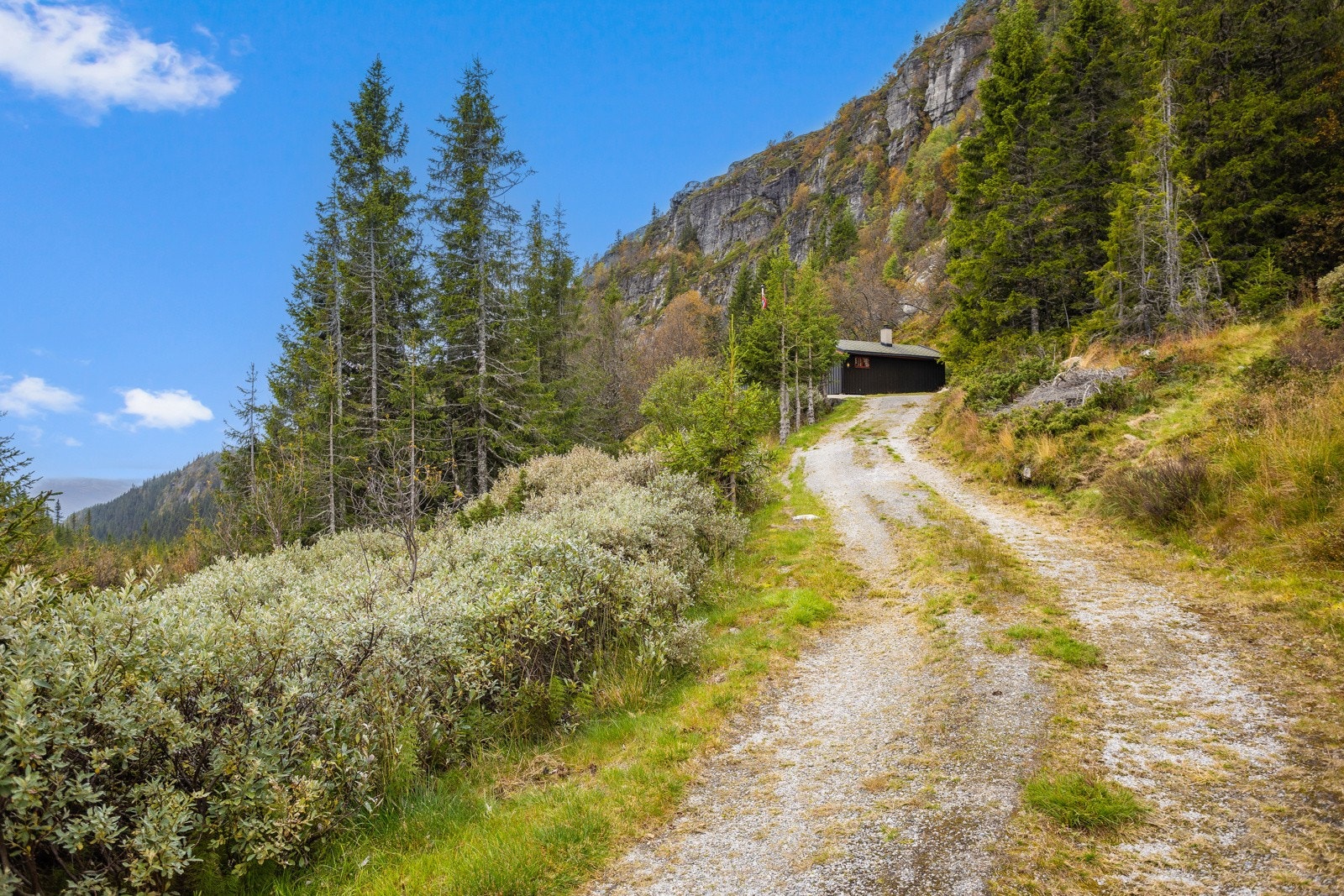 Veien opp til hytta. Eier har i dag brøyteavtale på denne. Galleribilde