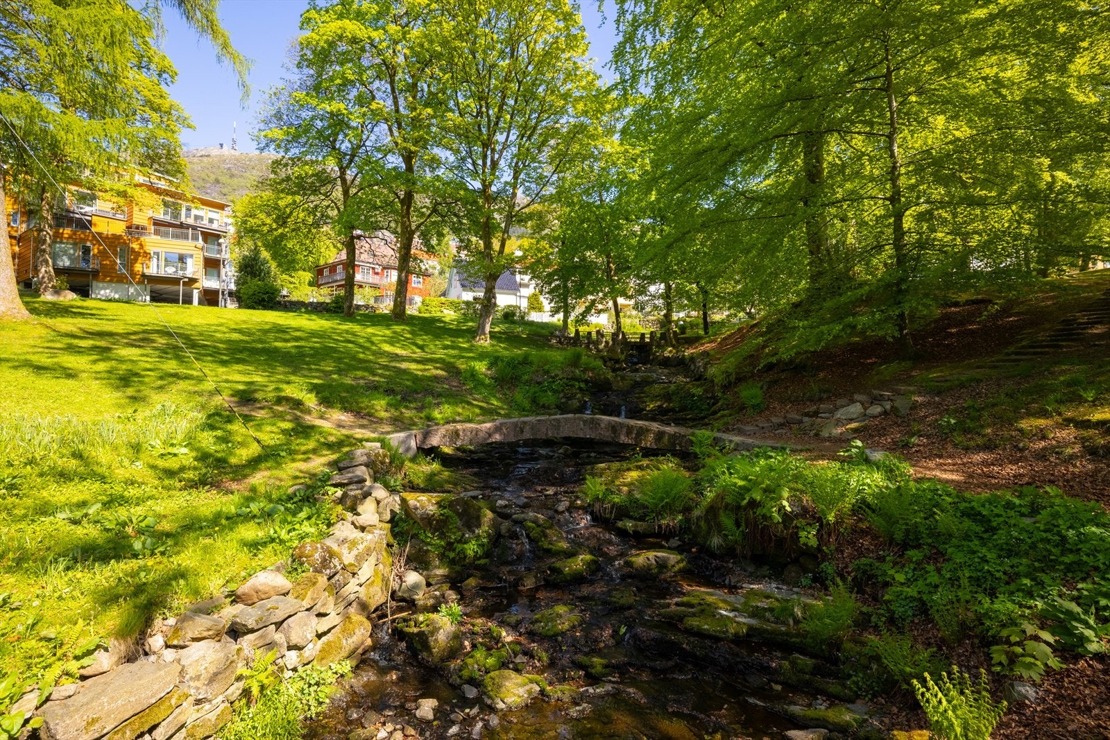 Nydelige Christieparken ligger like i nærheten. Her har du et nydelig turområde rett utenfor døren - perfekt for en luftetur med hunden eller en kaffepause på en benk. Galleribilde