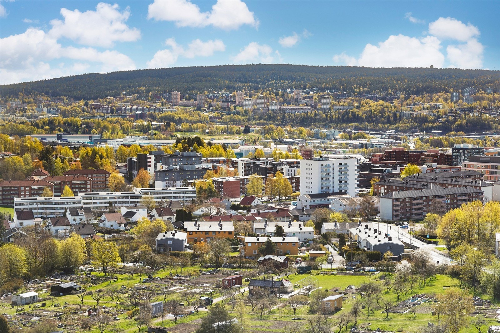 Mot nord ser man Grefsenkollen og Lillomarka, med flotte turmuligheter. Galleribilde