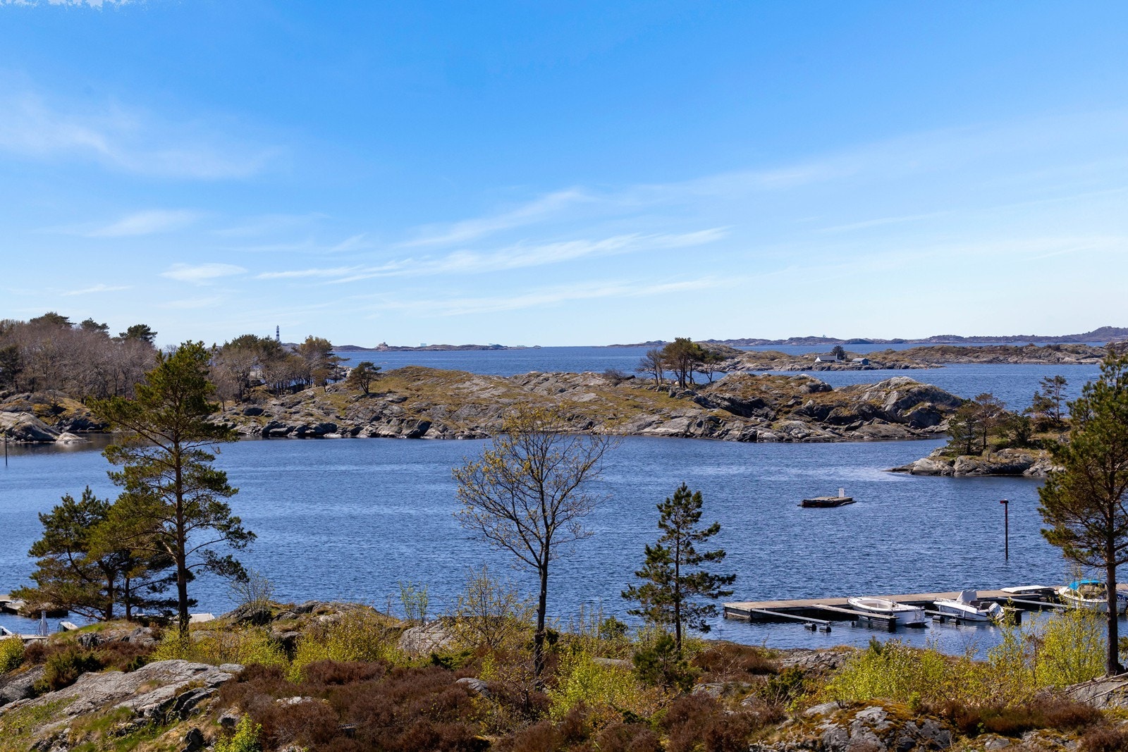 Nærområde. Galleribilde