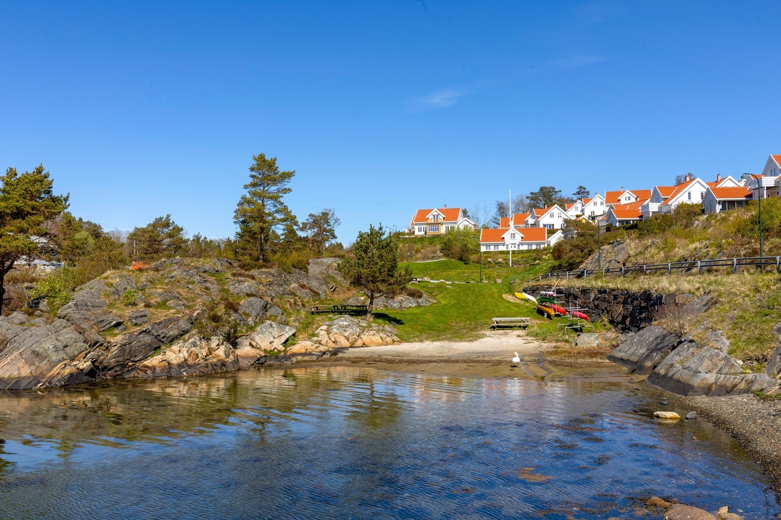Nærområde. Galleribilde