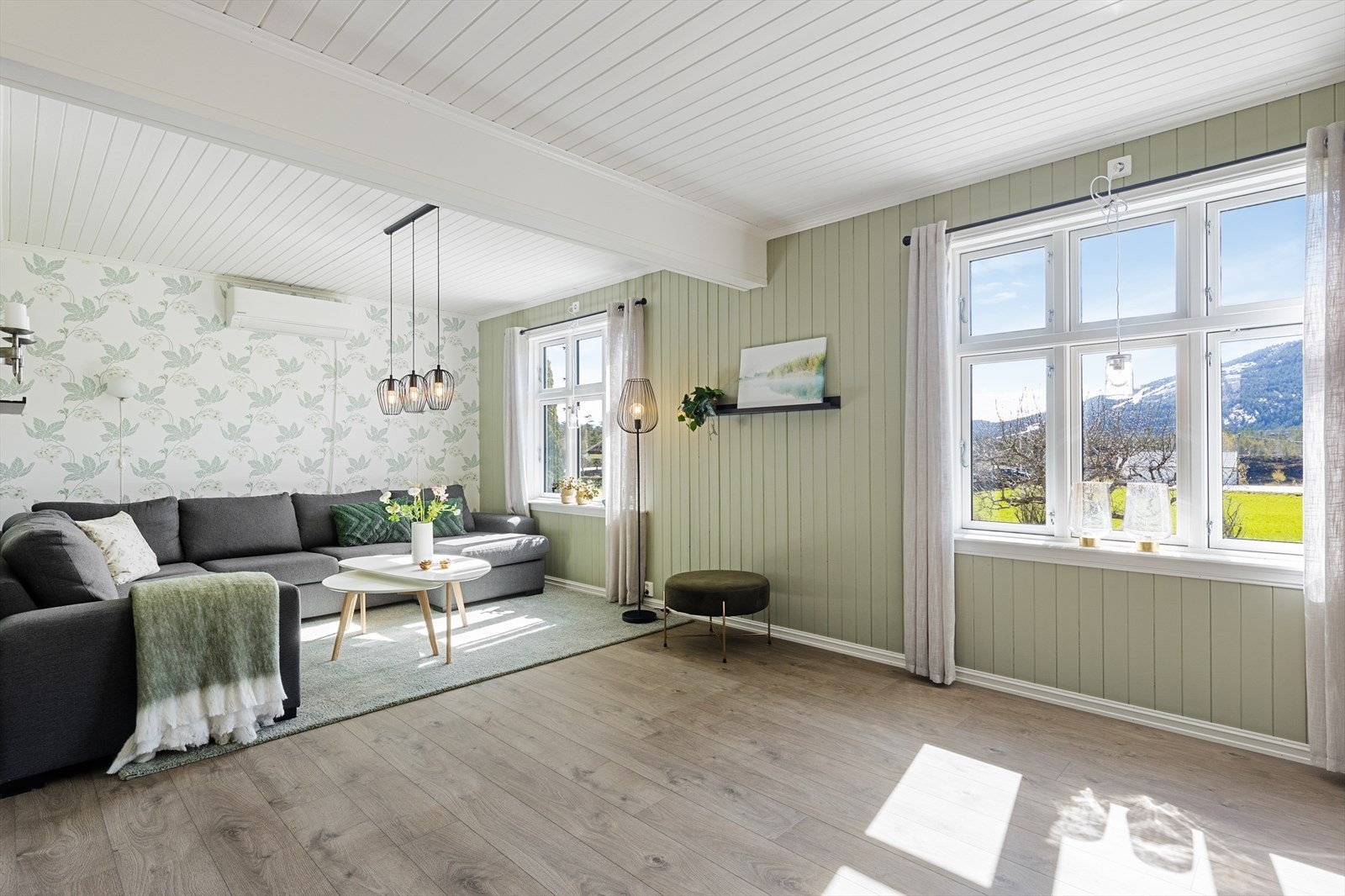 Stuen har også varmepumpe fra 2020. Galleribilde