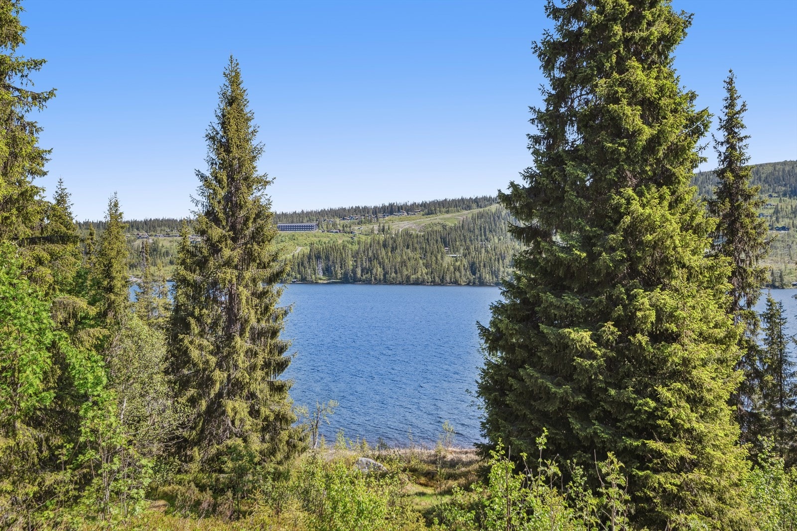 Eiendommen er omgitt av vakker natur, med nærhet til både skog og vann, noe som gir gode muligheter for friluftsliv og rekreasjon. Galleribilde