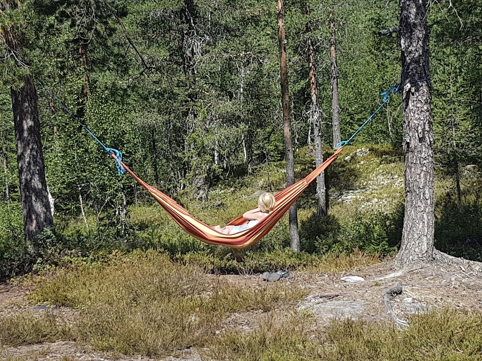 Trygt vugget i hengekøyen, vendt mot skogens stillhet. Er det fuglene hun lytter til, eller bare øyeblikkets ro? (foto: privat) Galleribilde
