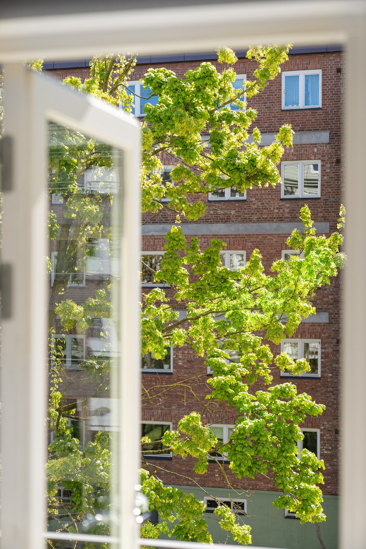 Nydelig utsyn fra boligen. Galleribilde