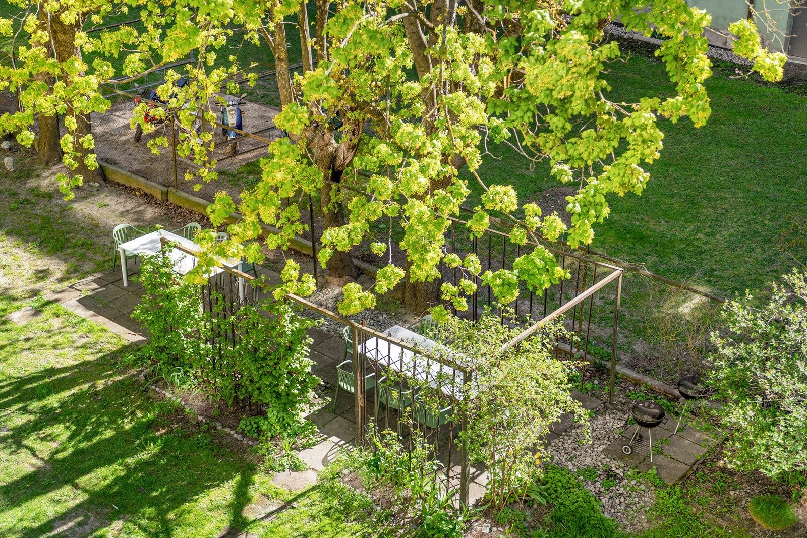Flott grøntareal i bakgården. Galleribilde