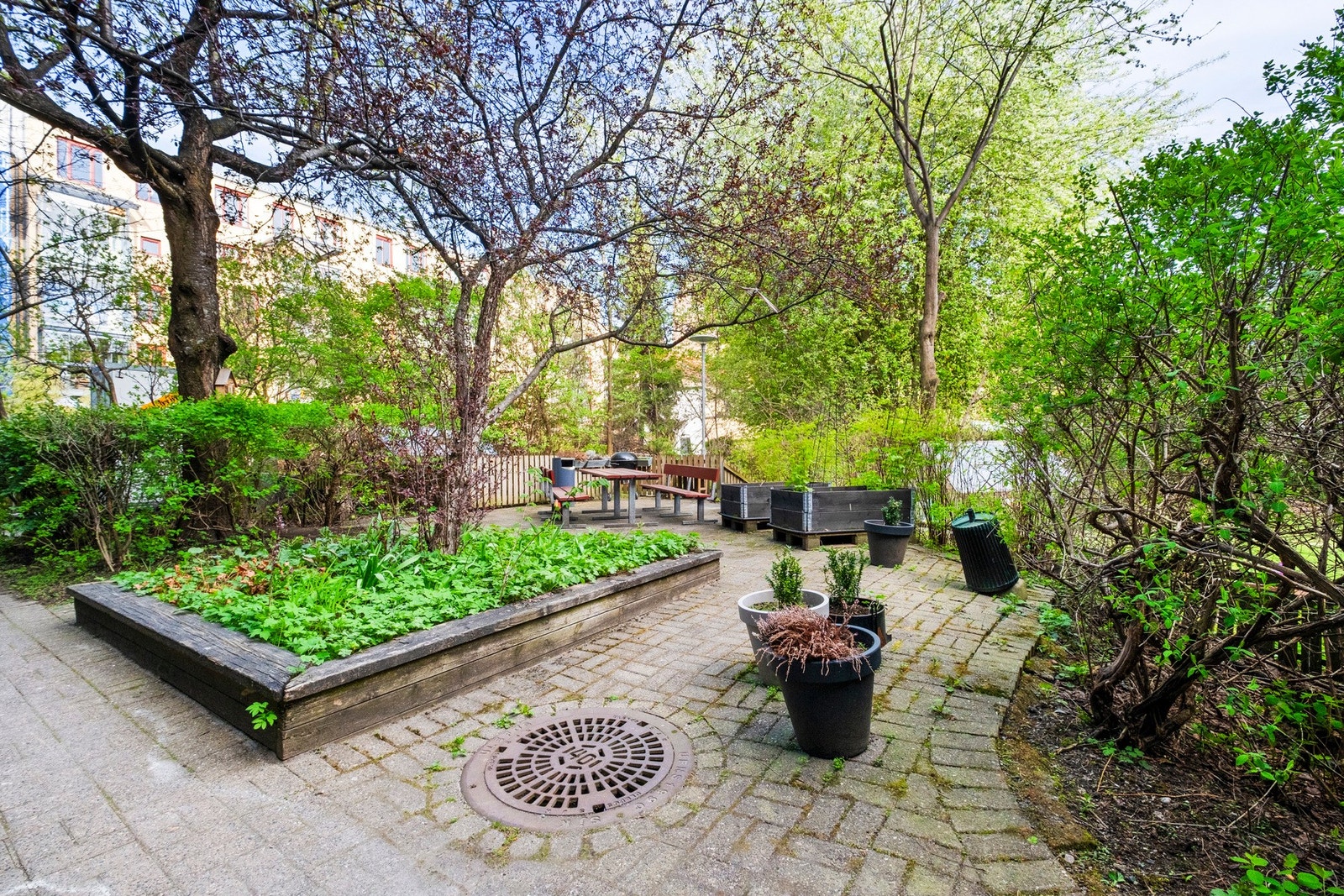 Bakgård med benker, grillplass og gress med flaggstang til felles bruk Galleribilde