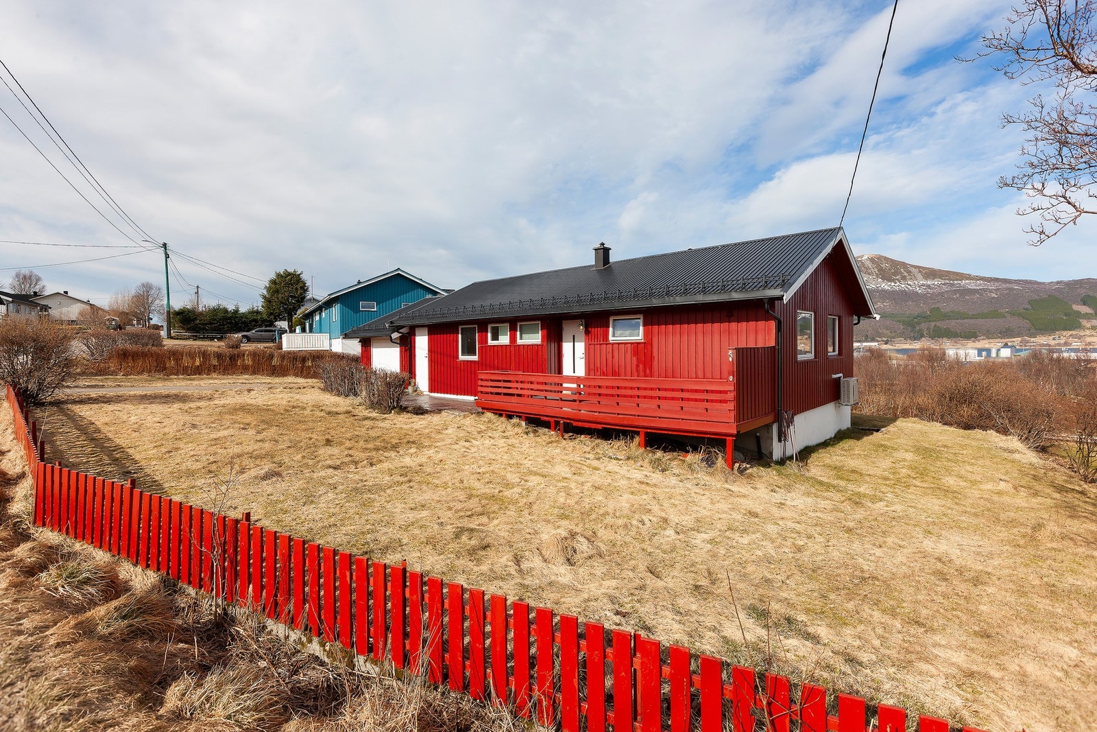 Romslig hage med plen og beplantning. Galleribilde