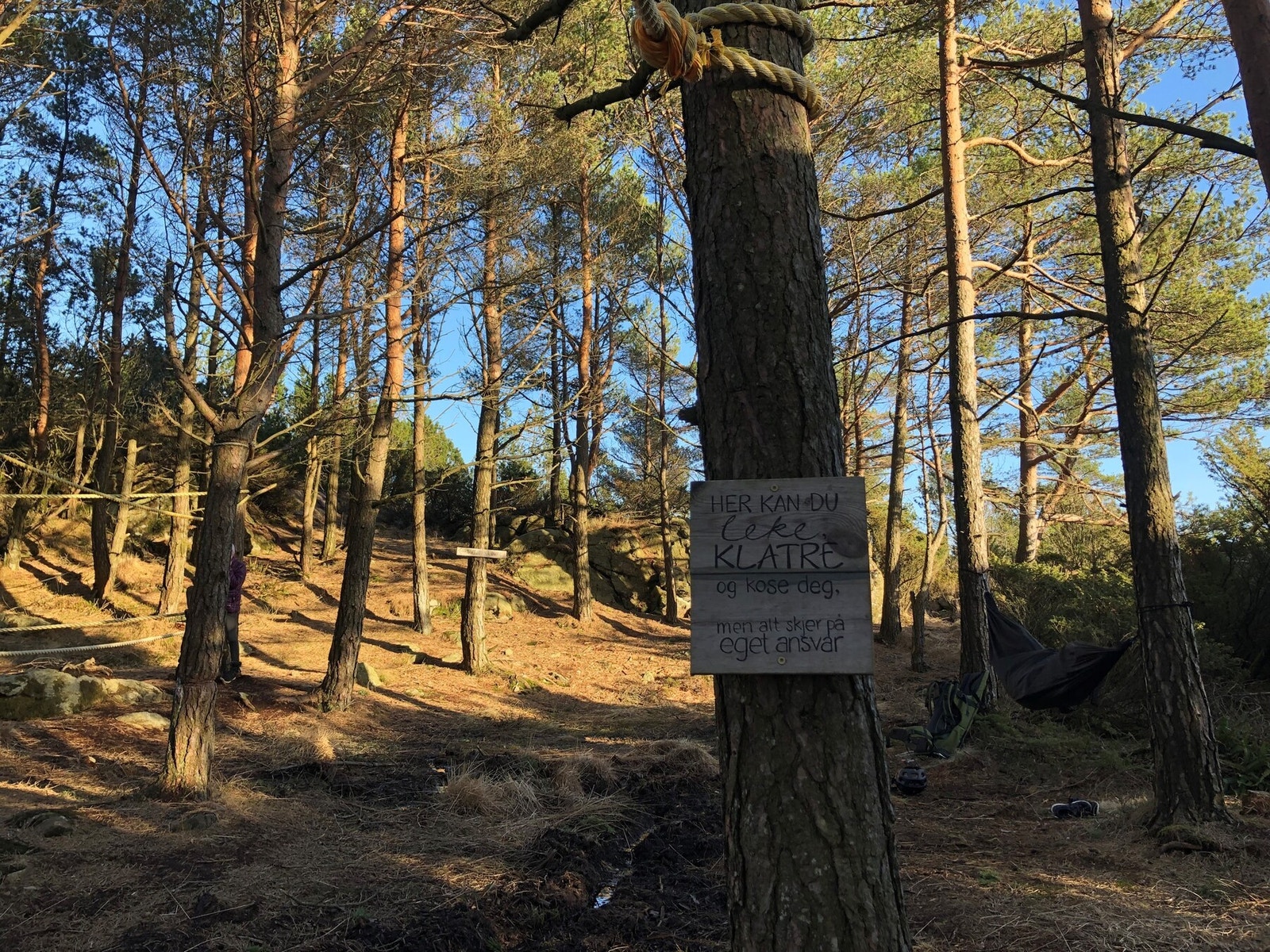 Privat bilde - Nærmiljø Galleribilde