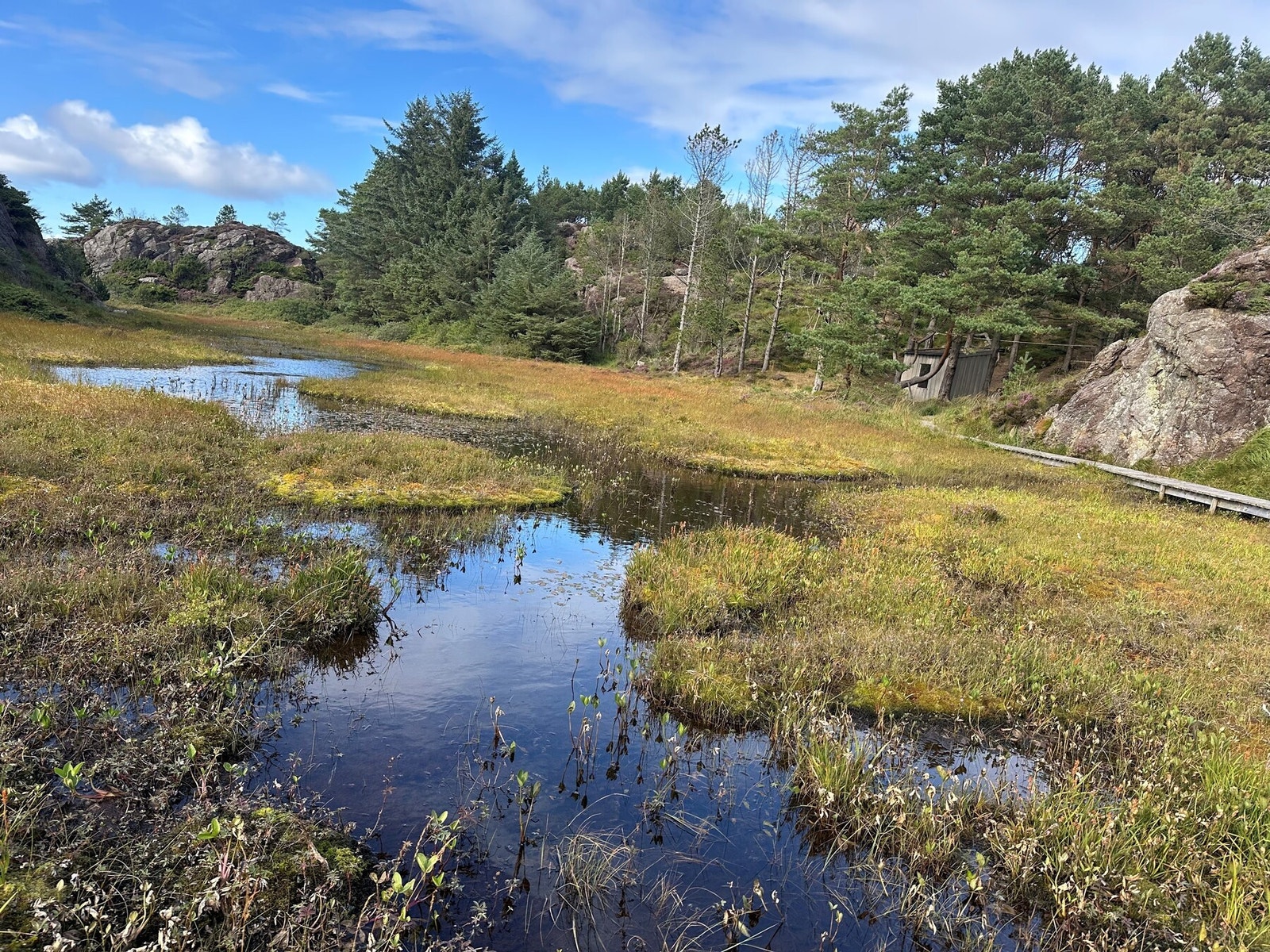 Privat bilde - Nærmiljø Galleribilde