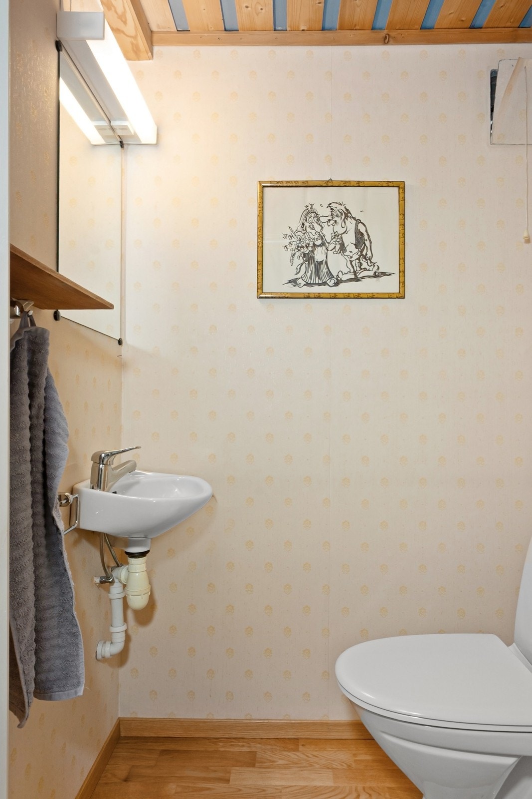 Toalettrommet er innredet med toalett og enkel servant. Galleribilde