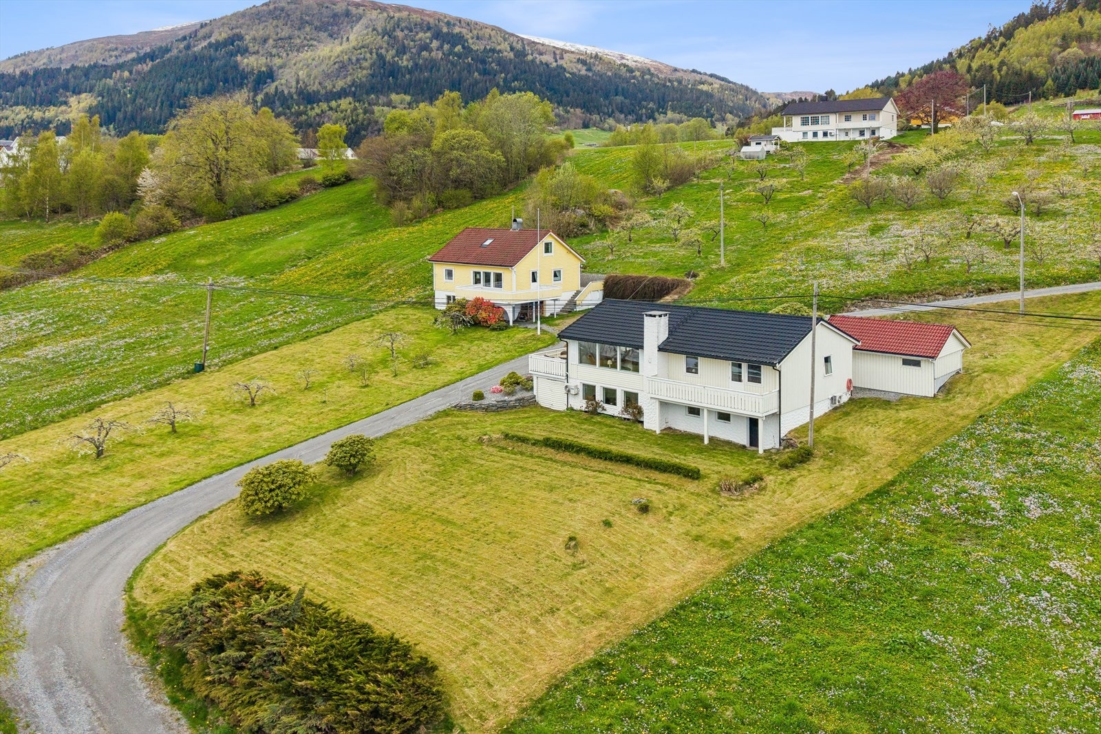 Velkommen til visning! Galleribilde