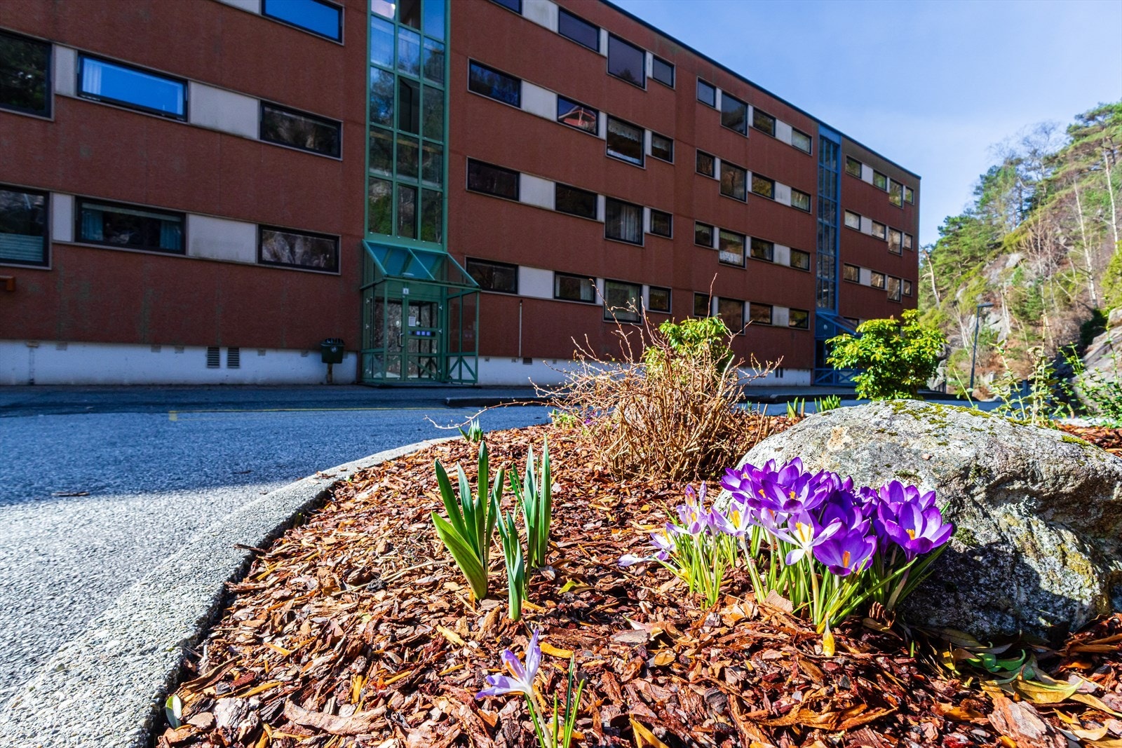 Velholdt inngangsparti med belegningsstein og fine blomsterbed. Kjørevei helt opp til inngangspartiet for enkel av- og pålessing Galleribilde