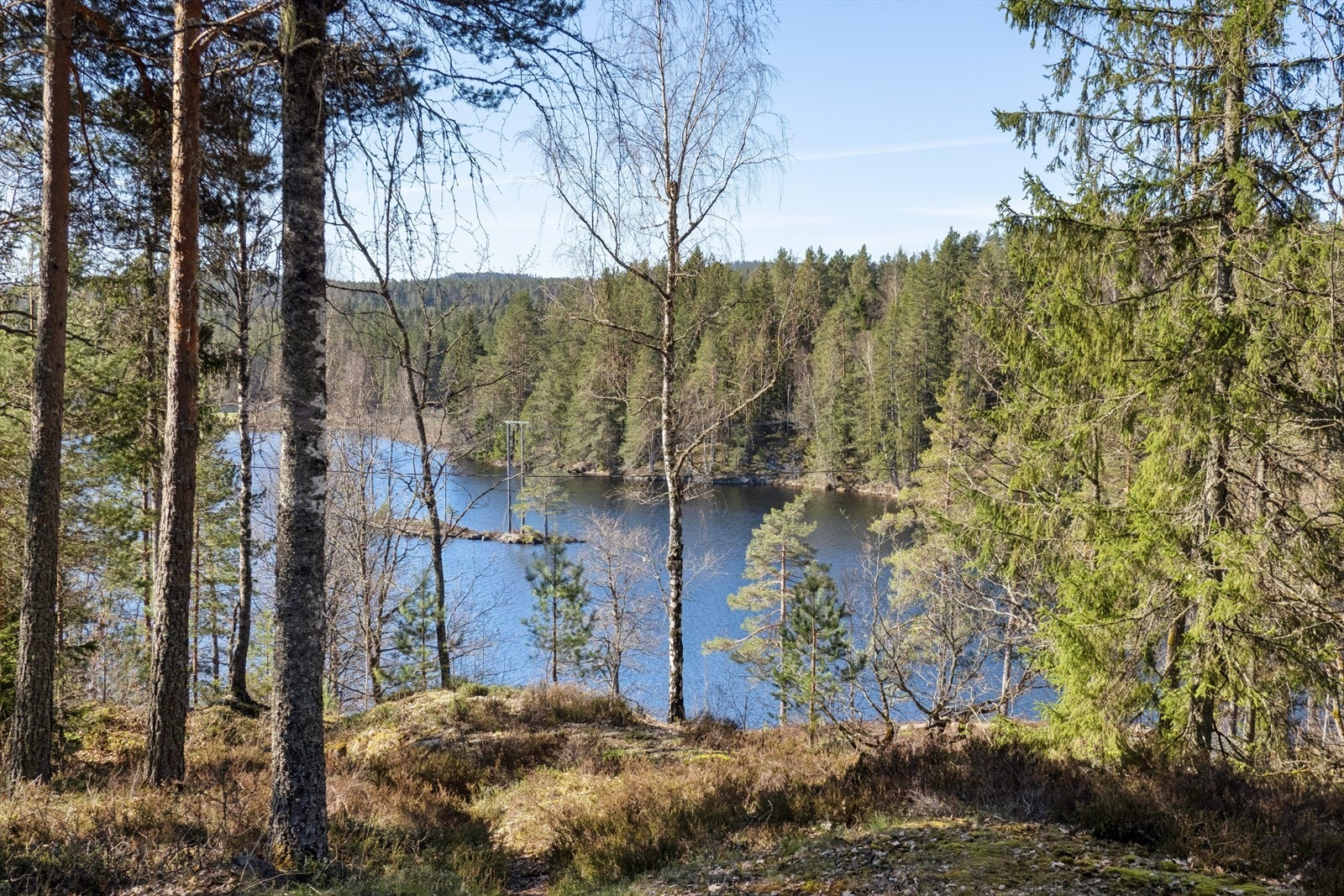 Nyt utsikten og stillheten fra den private og naturskjønne tomten. Galleribilde