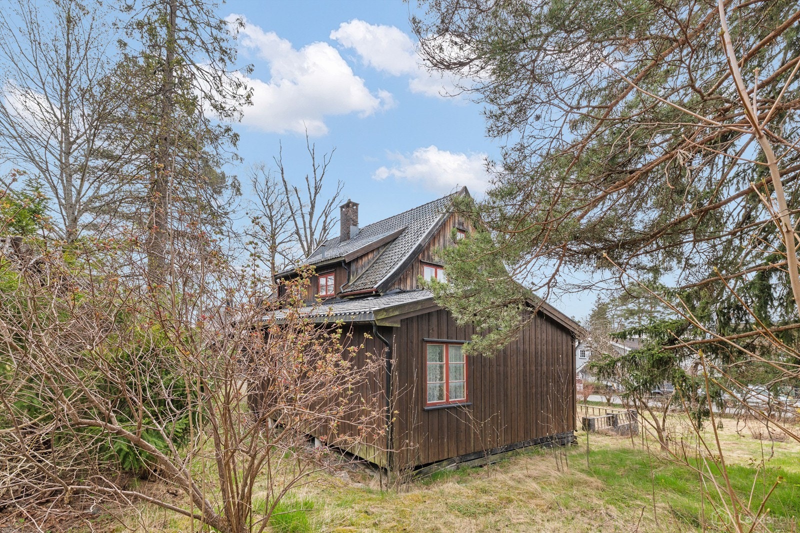Tomten er opparbeidet med plenarealer og diverse beplantning. Galleribilde
