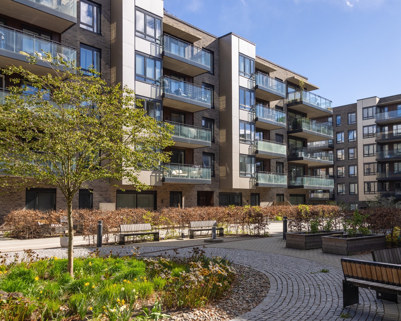 Sameiet er pent opparbeidet sittegrupper, pergola og lekeplass for de minste. Galleribilde
