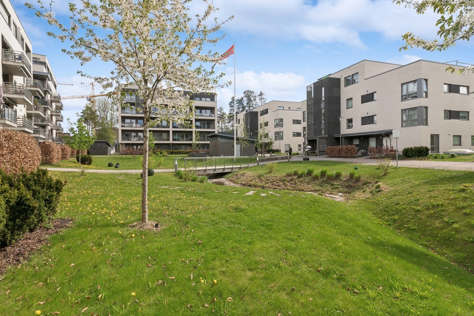 Perfekt miljø for barn og unge. Galleribilde