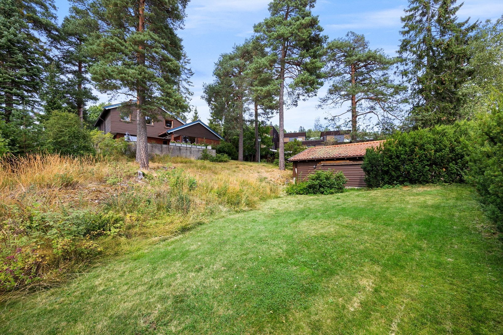 Stor tomt Galleribilde