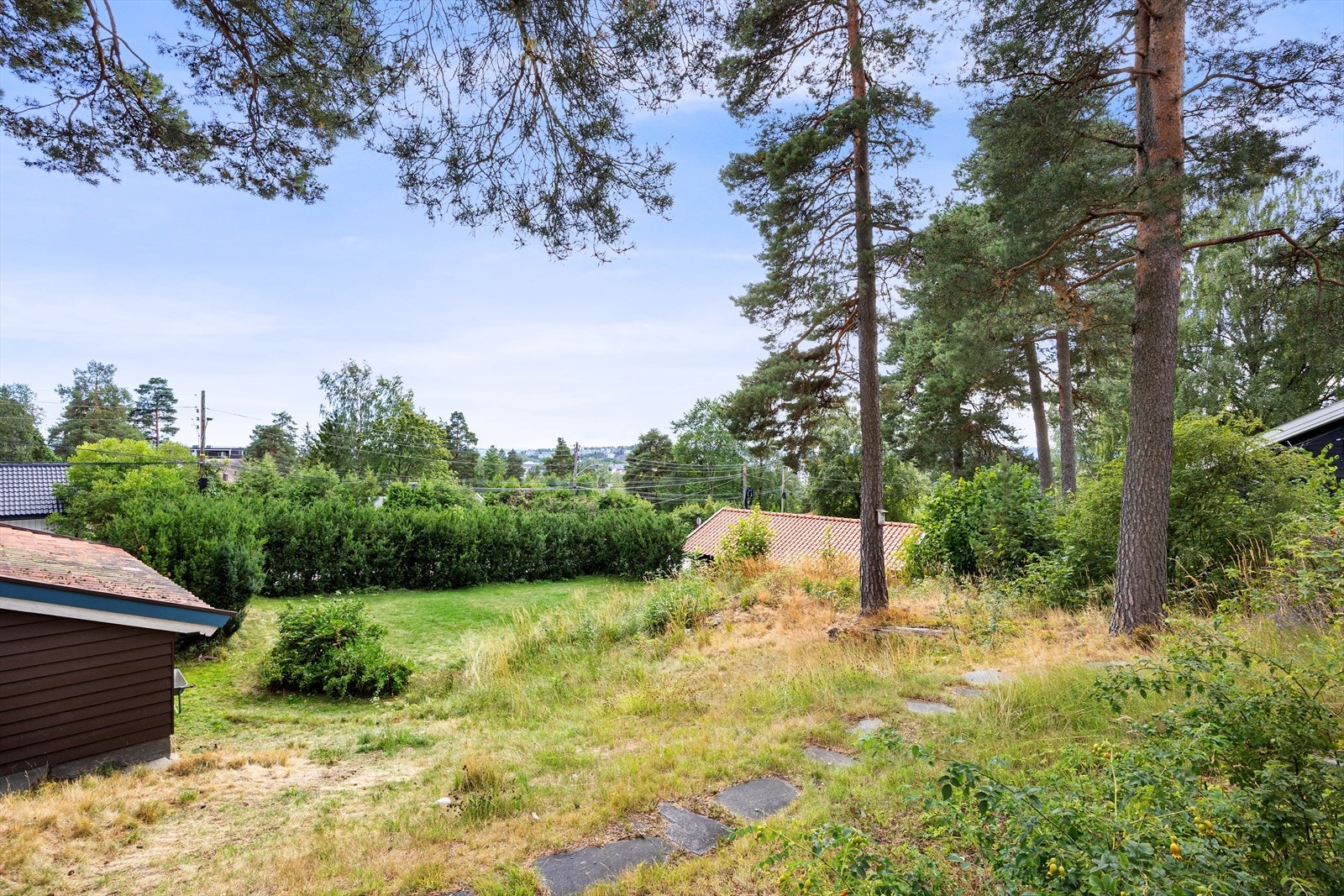 Dels gressplen og dels naturtomt Galleribilde