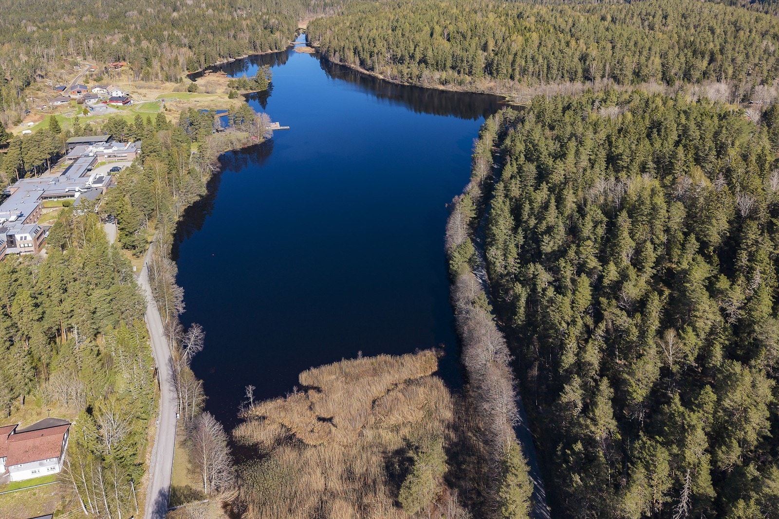 Flotte omgivelser i nærområdet. Galleribilde